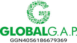 global-g-a-p-majos-24 global-g-a-p-majos-24